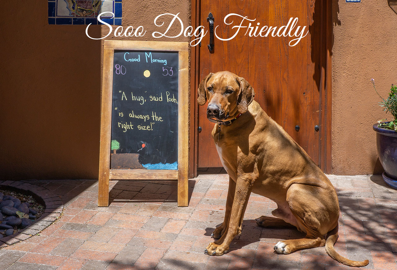 Dogs - Santa Fe Motel & Inn - Santa Fe NM